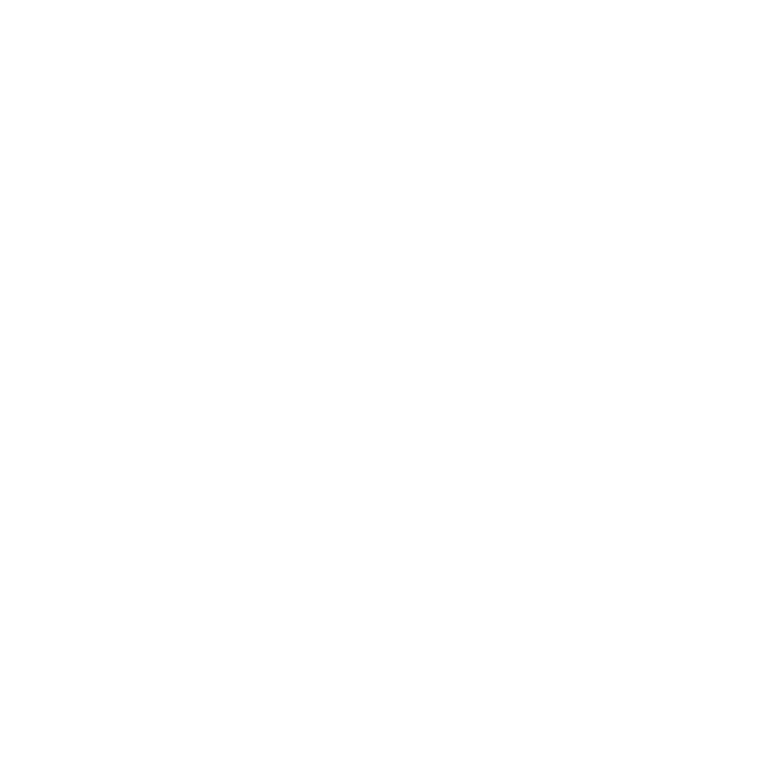 Romina Insurance Logo Blanco Sin Fondo